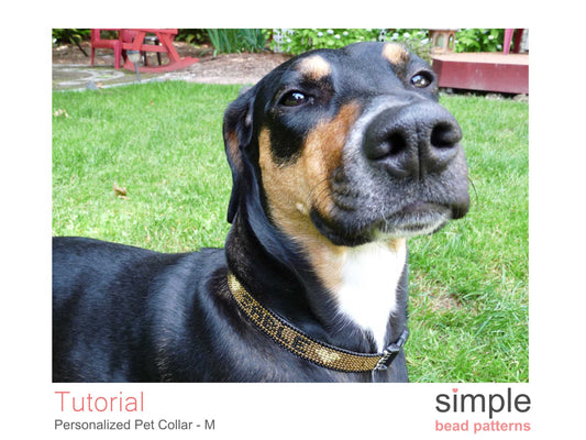 Personalized Dog Collar Size Medium