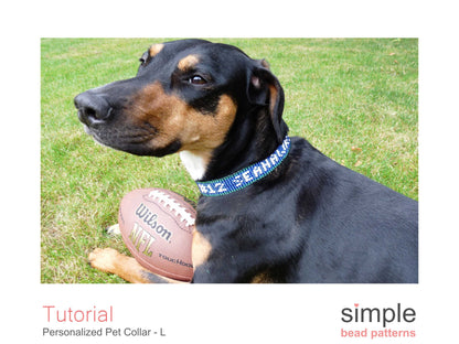 Personalized Dog Collar Size Large