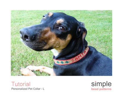 Personalized Dog Collar Size Large