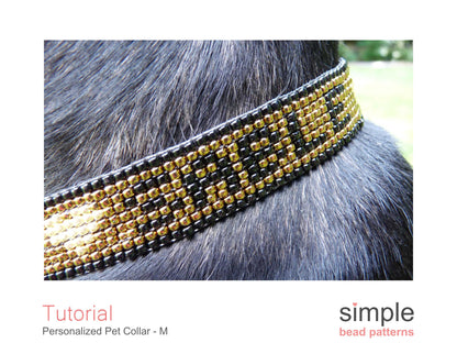 Personalized Dog Collar Size Medium