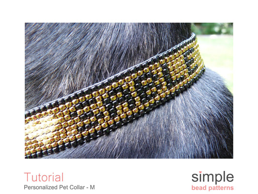 Personalized Dog Collar Size Medium