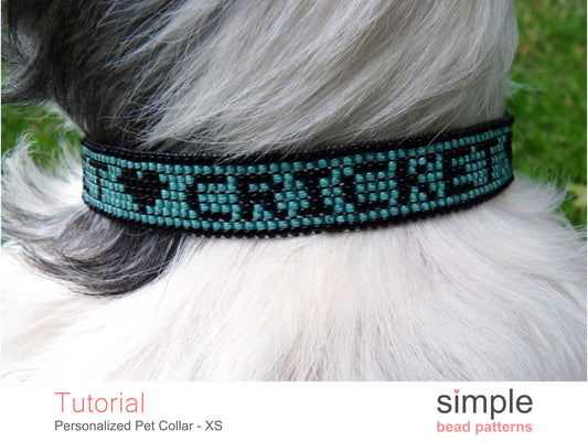 Personalized Dog Collar Size X-Small