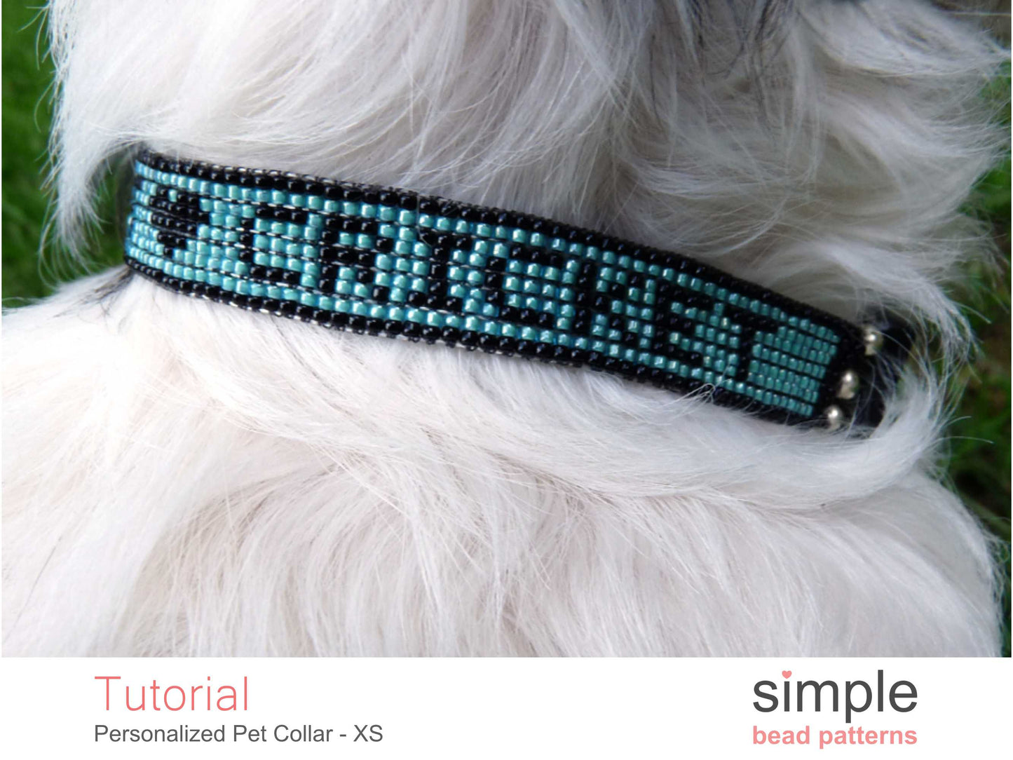 Personalized Dog Collar Size X-Small
