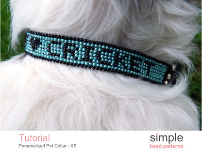Personalized Dog Collar Size X-Small