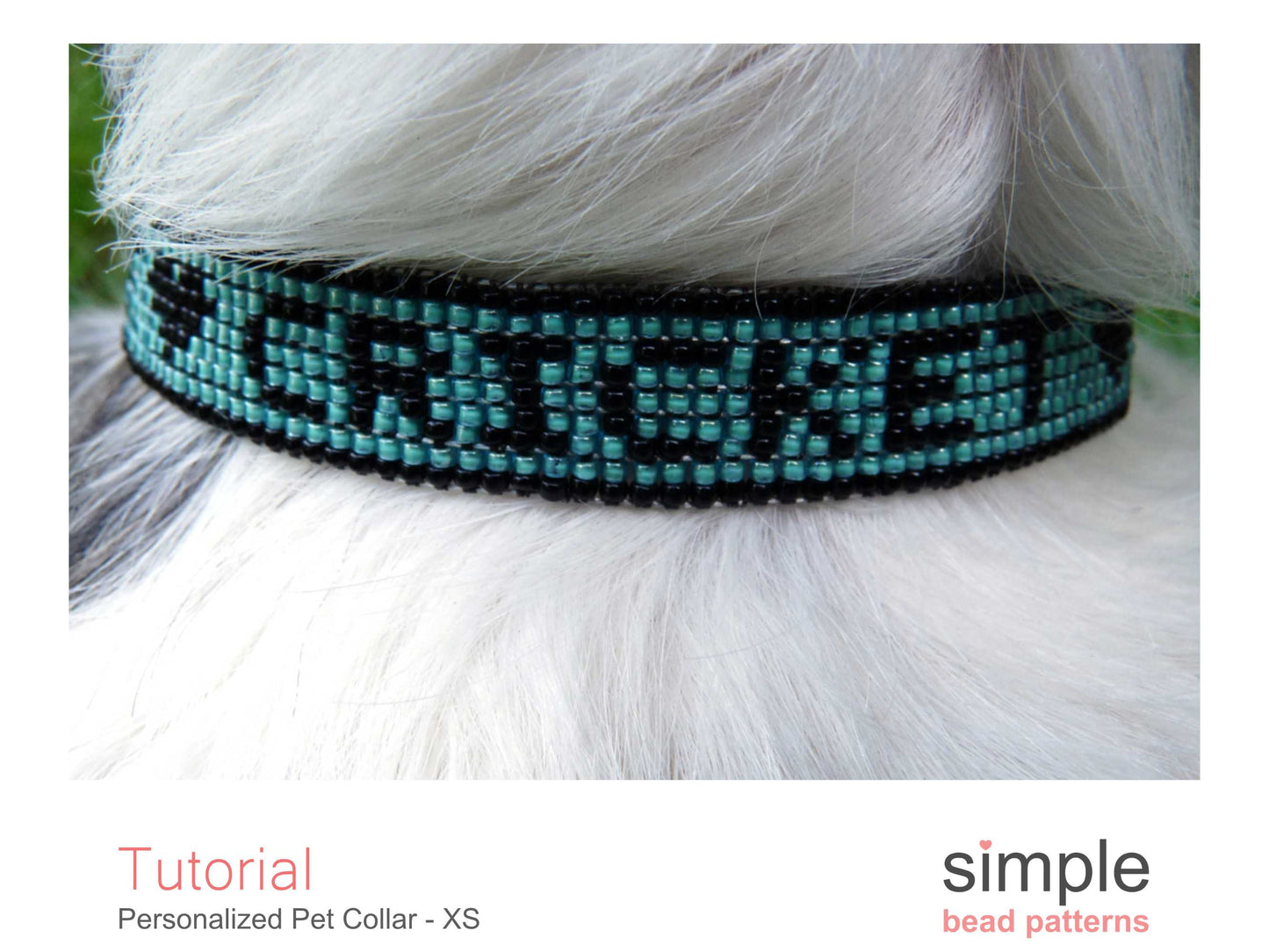 Personalized Dog Collar Size X-Small